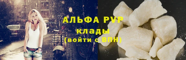 ПСИЛОЦИБИНОВЫЕ ГРИБЫ Верея