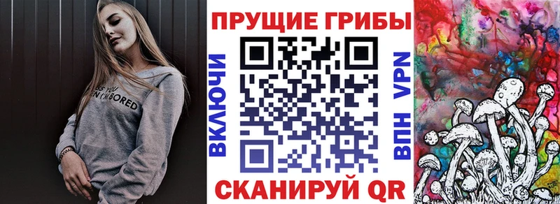 Псилоцибиновые грибы ЛСД  дарнет шоп  Карабулак 