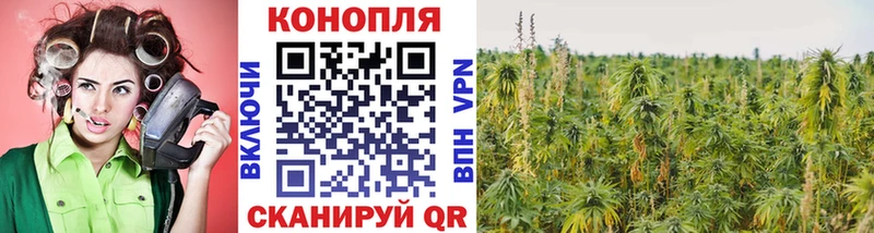 Канабис конопля Карабулак